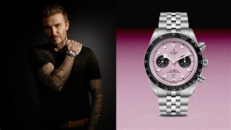 tudor sfondo rosa